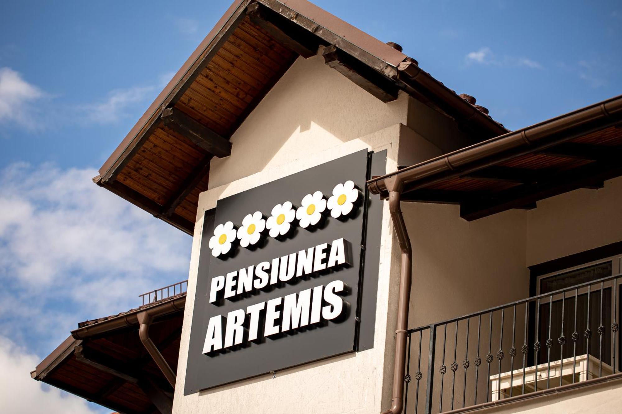 Artemis Villa Brassópojána Kültér fotó